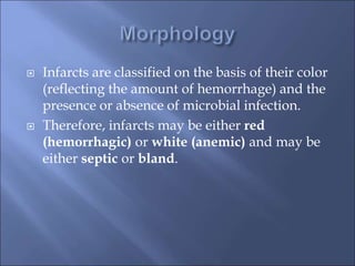  Infarcts are classified on the basis of their color
(reflecting the amount of hemorrhage) and the
presence or absence of microbial infection.
 Therefore, infarcts may be either red
(hemorrhagic) or white (anemic) and may be
either septic or bland.
 