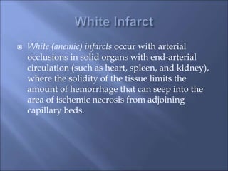  White (anemic) infarcts occur with arterial
occlusions in solid organs with end-arterial
circulation (such as heart, spleen, and kidney),
where the solidity of the tissue limits the
amount of hemorrhage that can seep into the
area of ischemic necrosis from adjoining
capillary beds.
 