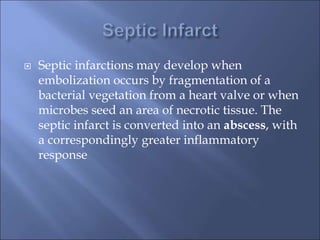  Septic infarctions may develop when
embolization occurs by fragmentation of a
bacterial vegetation from a heart valve or when
microbes seed an area of necrotic tissue. The
septic infarct is converted into an abscess, with
a correspondingly greater inflammatory
response
 