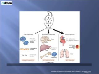 Downloaded from: Robbins & Cotran Pathologic Basis of Disease (on 8 April 2005 01:55 PM)
© 2005 Elsevier
 