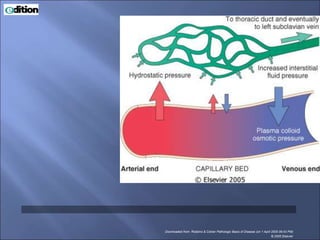 Downloaded from: Robbins & Cotran Pathologic Basis of Disease (on 1 April 2005 06:43 PM)
© 2005 Elsevier
 