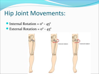 Hip Joint Movements:
Internal Rotation = 0º - 45º
External Rotation = 0º - 45º

 