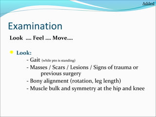 hip joint | PPT
