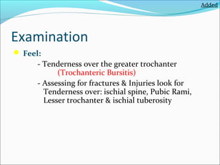 Added

Examination
 Feel:

- Tenderness over the greater trochanter
(Trochanteric Bursitis)
- Assessing for fractures & Injuries look for
Tenderness over: ischial spine, Pubic Rami,
Lesser trochanter & ischial tuberosity

 