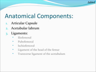 Added

Anatomical Components:
Articular Capsule
2. Acetabular labrum
3. Ligaments:
1.







Iliofemoral
Pubofemoral
Ischiofemoral
Ligament of the head of the femur
Transverse ligament of the acetabulum

 