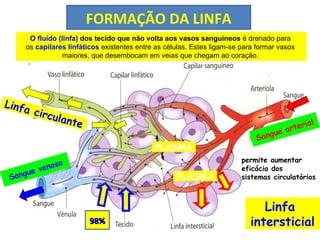 Linfa circulante Linfa  intersticial permite aumentar  eficácia dos  sistemas circulatórios FORMAÇÃO DA LINFA O  fluído (linfa)  dos tecido que não volta aos vasos sanguíneos  é drenado para  os  capilares linfáticos  existentes entre as células. Estes ligam-se para formar vasos  maiores, que desembocam em veias que chegam ao coração.  Sangue arterial Sangue venoso PLASMA PLASMA 98% 