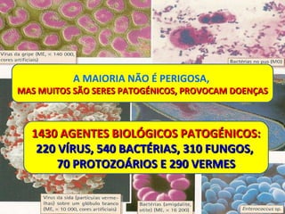 A MAIORIA NÃO É PERIGOSA,  MAS MUITOS SÃO SERES PATOGÉNICOS, PROVOCAM DOENÇAS  1430 AGENTES BIOLÓGICOS PATOGÉNICOS: 220 VÍRUS, 540 BACTÉRIAS, 310 FUNGOS,  70 PROTOZOÁRIOS E 290 VERMES 