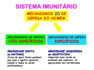 SISTEMA IMUNITÁRIO IMUNIDADE INATA  ou NATURAL Actua de igual forma qualquer que seja o agente agressor, comum a todos os seres multicelulares IMUNIDADE ADQUIRIDA  ou ADAPTATIVA   Adquirida mais tarde na evolu ç ão das esp é cies, s ó  aparecendo nos vertebrados 