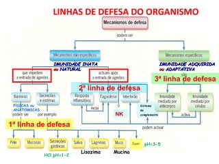 IMUNIDADE INATA  ou  NATURAL IMUNIDADE ADQUIRIDA  ou  ADAPTATIVA  Mucina Lisozima pH=3-5 HCl,pH=1-2 F Í SICAS ou ANAT Ó MICAS LINHAS DE DEFESA DO ORGANISMO 1ª linha de defesa 2ª linha de defesa 3ª linha de defesa NK 