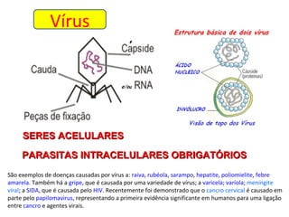 Vírus SERES ACELULARES PARASITAS INTRACELULARES OBRIGATÓRIOS São exemplos de doenças causadas por vírus a:  raiva ,  rubéola ,  sarampo ,  hepatite ,  poliomielite ,  febre amarela . Também há a  gripe , que é causada por uma variedade de vírus; a  varicela ;  varíola ;  meningite víral ; a  SIDA , que é causada pelo  HIV . Recentemente foi demonstrado que o  cancro cervical  é causado em parte pelo  papilomavirus , representando a primeira evidência significante em humanos para uma ligação entre  cancro  e agentes virais. 