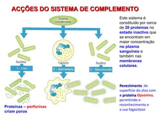 ACÇÕES DO SISTEMA DE COMPLEMENTO Revestimento   da superfície do alvo com  a  proteína   Opsonina , permitindo o  reconhecimento e  a sua fagocitose Proteínas –  perforinas criam poros Este sistema é constituído por cerca de  20 proteínas  no  estado inactivo  que se encontram em maior concentração  no plasma sanguíneo  e também nas  membranas celulares .  