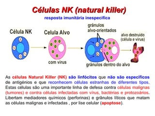 Células NK (natural killer) resposta imunitária inespecífica As  células Natural Killer (NK)  são linfócitos   que  não são específicos  de antigénios e que  reconhecem células estranhas de diferentes tipos . Estas células são uma importante linha de defesa contra  células malignas (tumores) e contra células infectadas com vírus, bactérias e protozoários . Libertam mediadores químicos (perforinas) e grânulos líticos que matam as células malignas e infectadas , por lise celular ( apoptose ). 