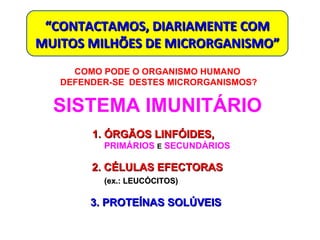 COMO PODE O ORGANISMO HUMANO  DEFENDER-SE  DESTES MICRORGANISMOS? “ CONTACTAMOS, DIARIAMENTE COM MUITOS MILHÕES DE MICRORGANISMO” SISTEMA IMUNITÁRIO 1. ÓRGÃOS LINFÓIDES,  PRIMÁRIOS   E   SECUNDÁRIOS 2. CÉLULAS EFECTORAS (ex.: LEUCÓCITOS) 3. PROTEÍNAS SOLÚVEIS  