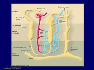 Abuelo JG, NEJM 2007 