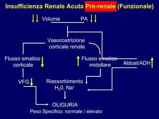 Insufficienza Renale Acuta Pre-renale (Funzionale) Volume PA Vasocostrizione  corticale renale Flusso ematico  corticale Flusso ematico  midollare VFG Riassorbimento H 2 0, Na + Aldost/ADH OLIGURIA Peso Specifico: normale / elevato 