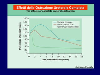 Johnson - Feehally Effetti della Ostruzione Ureterale Completa 