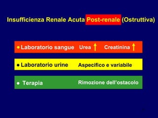 Insufficienza Renale Acuta Post-renale (Ostruttiva) Laboratorio sangue • • Laboratorio urine • Terapia Urea Creatinina Aspecifico e variabile Rimozione dell’ostacolo 