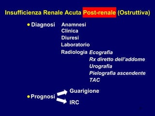 Insufficienza Renale Acuta Post-renale (Ostruttiva) Clinica Diuresi • • Diagnosi Anamnesi Laboratorio Radiologia Ecografia Rx diretto dell’addome Urografia Pielografia ascendente TAC Prognosi Guarigione IRC 