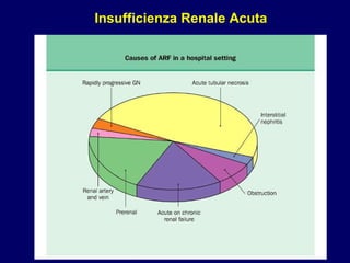Insufficienza Renale Acuta 