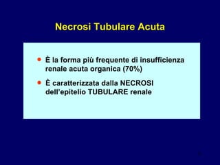 Necrosi Tubulare Acuta • È  la forma più frequente di insufficienza  renale acuta organica (70%) • È  caratterizzata dalla NECROSI  dell’epitelio TUBULARE renale 