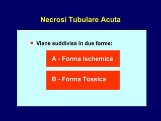 Necrosi Tubulare Acuta • Viene suddivisa in due forme: A - Forma Ischemica B - Forma Tossica 