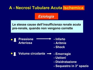 A - Necrosi Tubulare Acuta Ischemica Eziologia Le stesse cause dell’insufficienza renale acuta  pre-renale, quando non vengono corrette • • Pressione Arteriosa Volume circolante - Infarto - Aritmie - Shock  - Emorragie - Ustioni - Disidratazione - Sequestro in 3° spazio 