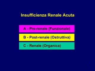 Insufficienza Renale Acuta A - Pre-renale (Funzionale)   B - Post-renale (Ostruttiva)  C - Renale (Organica)   
