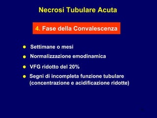 Necrosi Tubulare Acuta 4.  Fase della Convalescenza • Settimane o mesi • VFG ridotto del 20%  • Segni di incompleta funzione tubulare (concentrazione e acidificazione ridotte)   • Normalizzazione emodinamica 