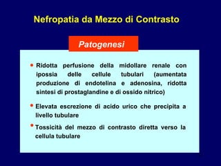 Nefropatia da Mezzo di Contrasto Ridotta perfusione della midollare renale con ipossia delle cellule tubulari (aumentata produzione di endotelina e adenosina, ridotta sintesi di prostaglandine e di ossido nitrico) Patogenesi • • Tossicità del mezzo di contrasto diretta verso la cellula tubulare Elevata escrezione di acido urico che precipita a livello tubulare • 
