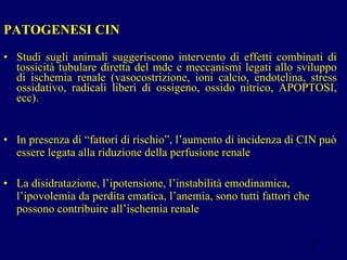 PATOGENESI CIN Studi sugli animali suggeriscono intervento di effetti combinati di tossicità tubulare diretta del mdc e meccanismi legati allo sviluppo di ischemia renale (vasocostrizione, ioni calcio, endotelina, stress ossidativo, radicali liberi di ossigeno, ossido nitrico, APOPTOSI, ecc).  In presenza di “fattori di rischio”, l’aumento di incidenza di CIN può essere legata alla riduzione della perfusione renale La disidratazione, l’ipotensione, l’instabilità emodinamica, l’ipovolemia da perdita ematica, l’anemia, sono tutti fattori che possono contribuire all’ischemia renale   