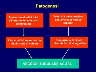 Tossicità delle proteine dell’eme sulle cellule tubulari Trasferimento di liquidi all’interno del muscolo danneggiato Vasocostrizione renale per deplezione di volume NECROSI TUBULARE ACUTA Patogenesi Formazione di cilindri intratubulari di mioglobina 
