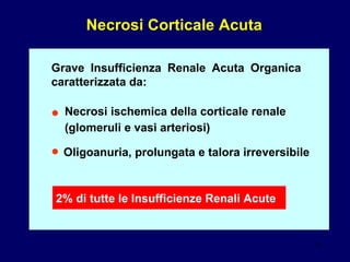 Necrosi Corticale Acuta Grave Insufficienza Renale Acuta Organica caratterizzata da: 2% di tutte le Insufficienze Renali Acute Necrosi ischemica della corticale renale  (glomeruli e vasi arteriosi)  Oligoanuria, prolungata e talora irreversibile • • 