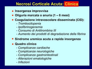 Necrosi Corticale Acuta: Clinica Insorgenza improvvisa Oliguria marcata o anuria (1 – 6 mesi) • • Sindrome uremica acuta a rapida insorgenza  • Quadro clinico - Infezioni - Complicanze cardiache - Complicanze neurologiche - Complicanze gastrointestinali - Alterazioni ematologiche • Coagulazione intravascolare disseminata (CID): • - Trombocitopenia - Ipofibrinogenemia - Consumo di Antitrombina III - Aumento dei prodotti di degradazione della fibrina 