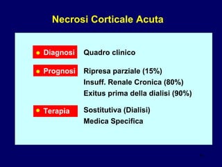 Necrosi Corticale Acuta Diagnosi Prognosi • • Terapia • Quadro clinico Ripresa parziale (15%) Insuff. Renale Cronica (80%) Exitus prima della dialisi (90%) Sostitutiva (Dialisi) Medica Specifica 