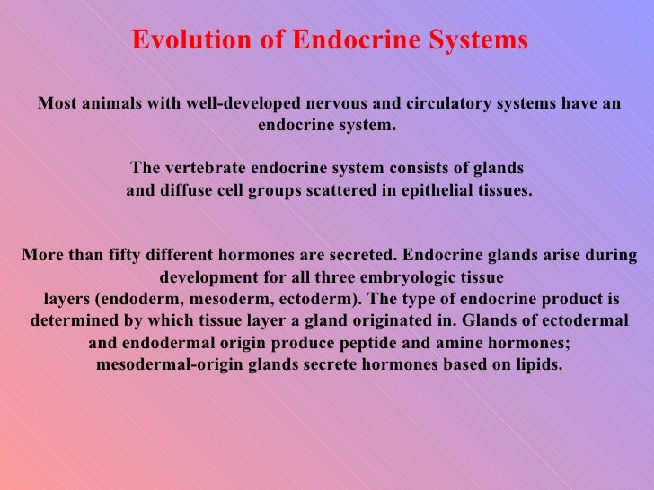 15. introduction to endocrinology
