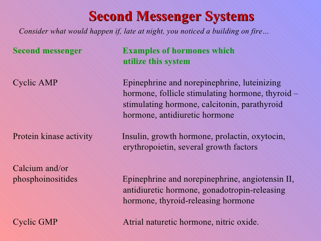 15. introduction to endocrinology