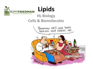 Lipids
HL Biology
Cells & Biomolecules
 