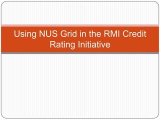 Using NUS Grid in the RMI Credit Rating Initiative 