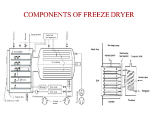 COMPONENTS OF FREEZE DRYER
 