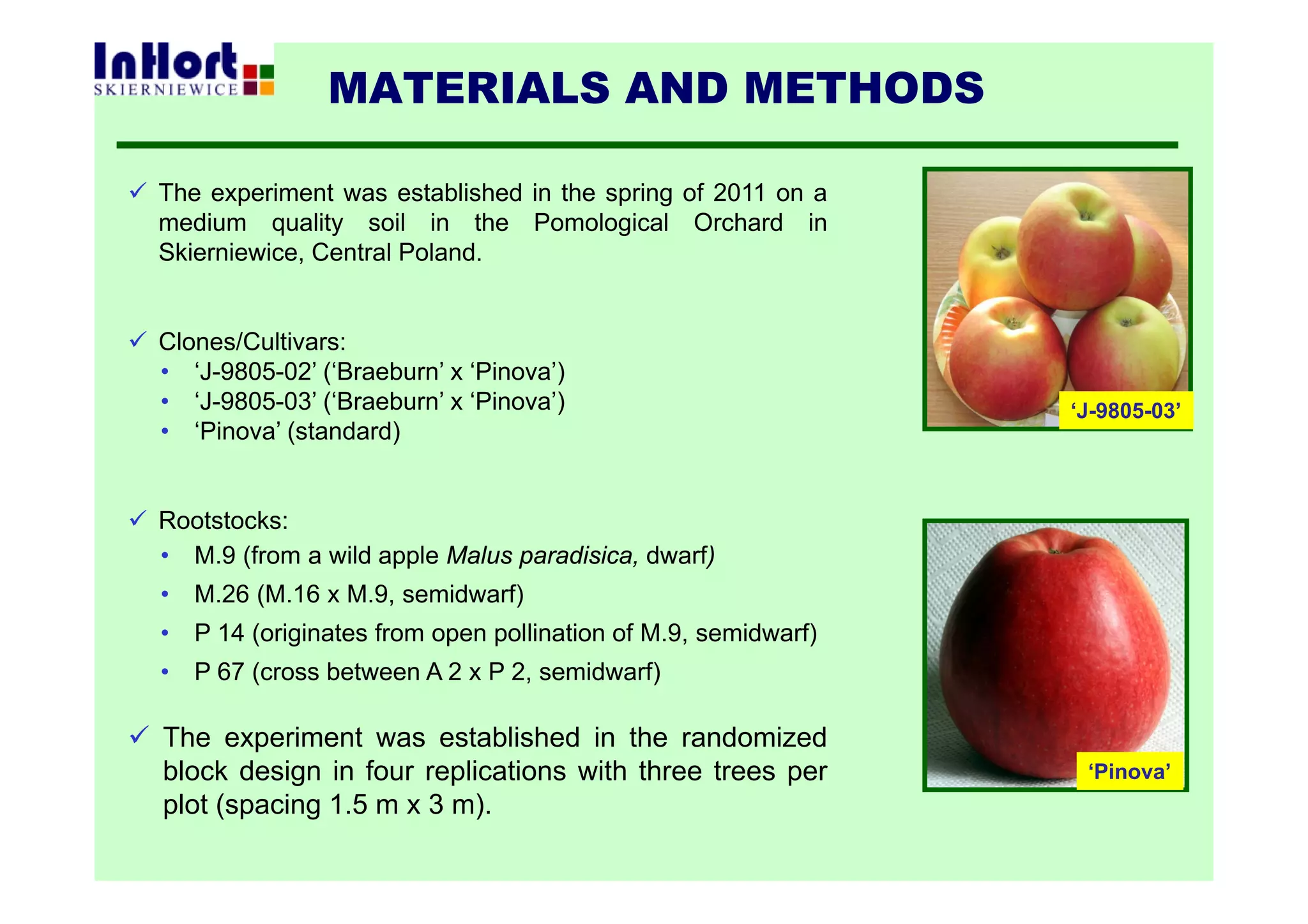  The experiment was established in the spring of 2011 on a
medium quality soil in the Pomological Orchard in
Skierniewice, Central Poland.
 Clones/Cultivars:
• ‘J-9805-02’ (‘Braeburn’ x ‘Pinova’)
• ‘J-9805-03’ (‘Braeburn’ x ‘Pinova’)
• ‘Pinova’ (standard)
 Rootstocks:
• M.9 (from a wild apple Malus paradisica, dwarf)
• M.26 (M.16 x M.9, semidwarf)
• P 14 (originates from open pollination of M.9, semidwarf)
• P 67 (cross between A 2 x P 2, semidwarf)
 The experiment was established in the randomized
block design in four replications with three trees per
plot (spacing 1.5 m x 3 m).
MATERIALS AND METHODS
‘Pinova’
‘J-9805-03’
 