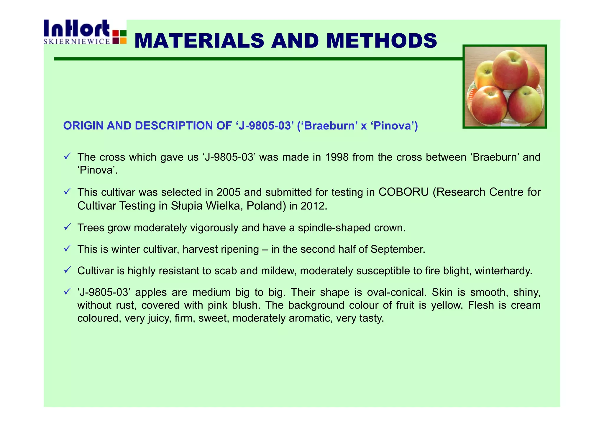 ORIGIN AND DESCRIPTION OF ‘J-9805-03’ (‘Braeburn’ x ‘Pinova’)
 The cross which gave us ‘J-9805-03’ was made in 1998 from the cross between ‘Braeburn’ and
‘Pinova’.
 This cultivar was selected in 2005 and submitted for testing in COBORU (Research Centre for
Cultivar Testing in Słupia Wielka, Poland) in 2012.
 Trees grow moderately vigorously and have a spindle-shaped crown.
 This is winter cultivar, harvest ripening – in the second half of September.
 Cultivar is highly resistant to scab and mildew, moderately susceptible to fire blight, winterhardy.
 ‘J-9805-03’ apples are medium big to big. Their shape is oval-conical. Skin is smooth, shiny,
without rust, covered with pink blush. The background colour of fruit is yellow. Flesh is cream
coloured, very juicy, firm, sweet, moderately aromatic, very tasty.
MATERIALS AND METHODS
 