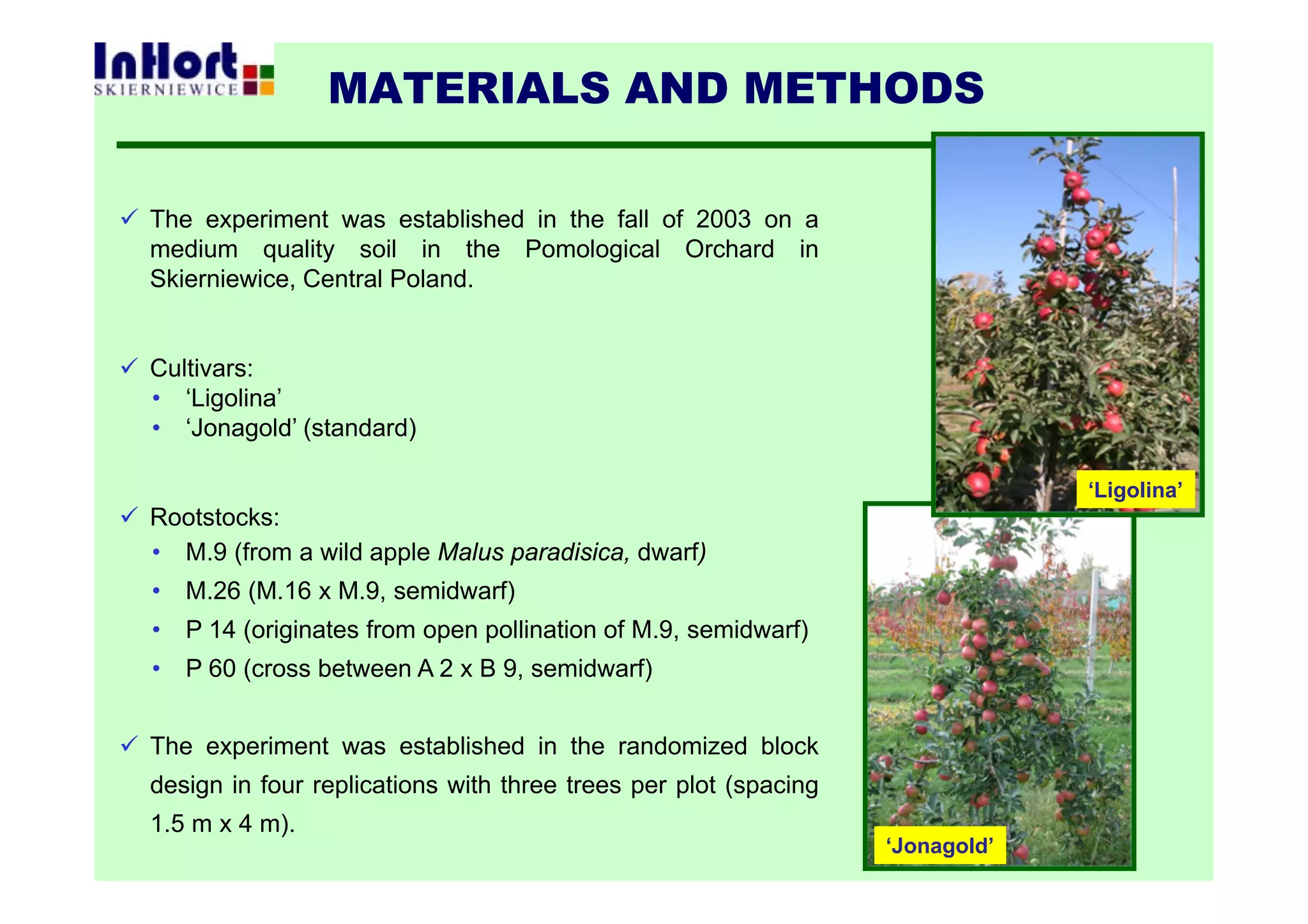  The experiment was established in the fall of 2003 on a
medium quality soil in the Pomological Orchard in
Skierniewice, Central Poland.
 Cultivars:
• ‘Ligolina’
• ‘Jonagold’ (standard)
 Rootstocks:
• M.9 (from a wild apple Malus paradisica, dwarf)
• M.26 (M.16 x M.9, semidwarf)
• P 14 (originates from open pollination of M.9, semidwarf)
• P 60 (cross between A 2 x B 9, semidwarf)
 The experiment was established in the randomized block
design in four replications with three trees per plot (spacing
1.5 m x 4 m).
MATERIALS AND METHODS
‘Ligolina’
‘Jonagold’
 