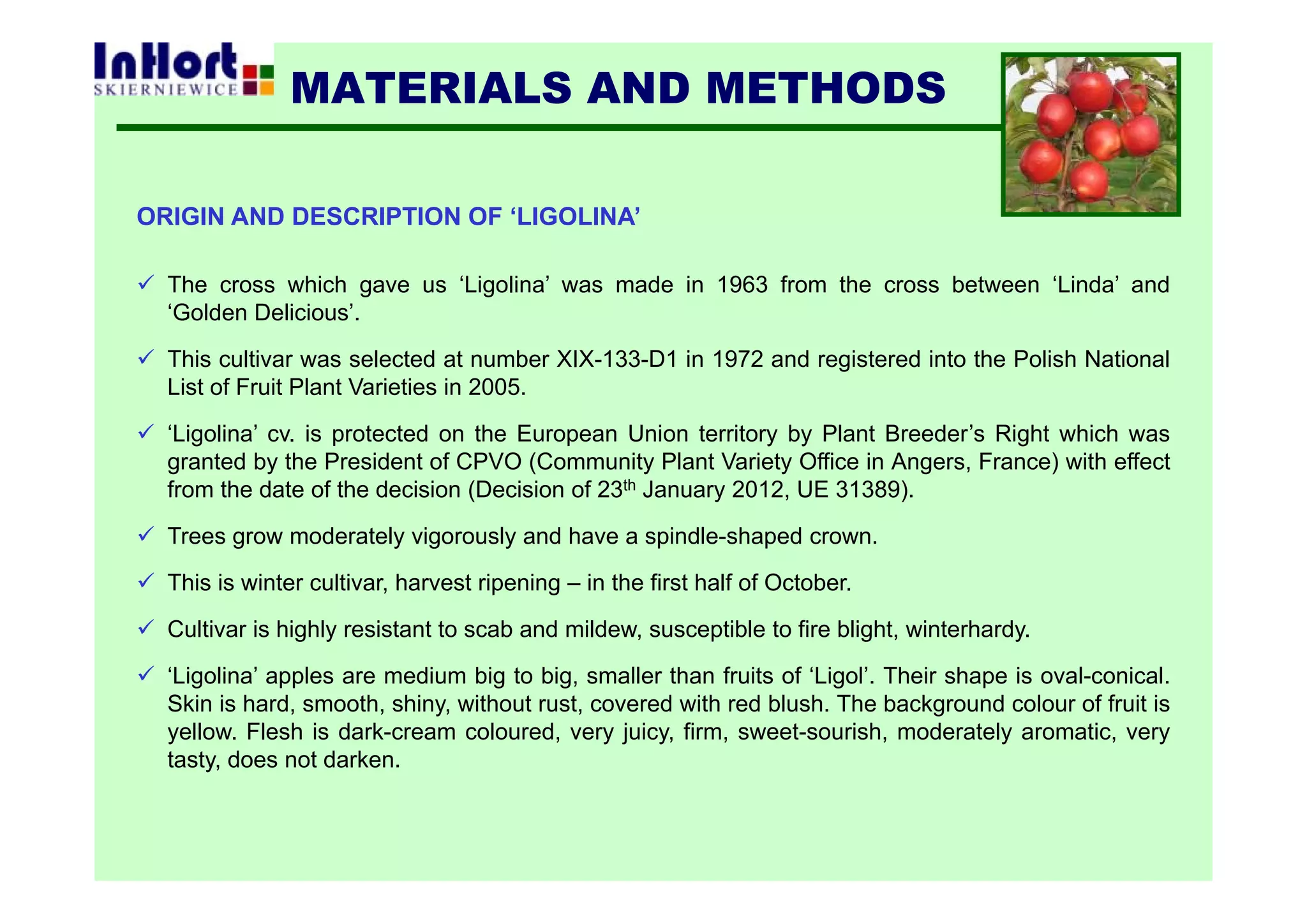 ORIGIN AND DESCRIPTION OF ‘LIGOLINA’
 The cross which gave us ‘Ligolina’ was made in 1963 from the cross between ‘Linda’ and
‘Golden Delicious’.
 This cultivar was selected at number XIX-133-D1 in 1972 and registered into the Polish National
List of Fruit Plant Varieties in 2005.
 ‘Ligolina’ cv. is protected on the European Union territory by Plant Breeder’s Right which was
granted by the President of CPVO (Community Plant Variety Office in Angers, France) with effect
from the date of the decision (Decision of 23th January 2012, UE 31389).
 Trees grow moderately vigorously and have a spindle-shaped crown.
 This is winter cultivar, harvest ripening – in the first half of October.
 Cultivar is highly resistant to scab and mildew, susceptible to fire blight, winterhardy.
 ‘Ligolina’ apples are medium big to big, smaller than fruits of ‘Ligol’. Their shape is oval-conical.
Skin is hard, smooth, shiny, without rust, covered with red blush. The background colour of fruit is
yellow. Flesh is dark-cream coloured, very juicy, firm, sweet-sourish, moderately aromatic, very
tasty, does not darken.
MATERIALS AND METHODS
 