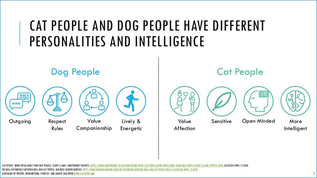 Is Owning a Cat Better Than Owning a Dog?