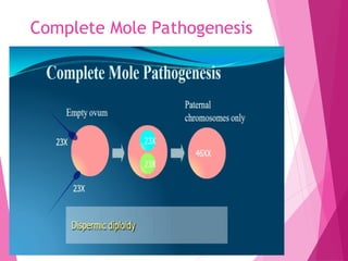 15-Molar_pregnancy_and_Cervical_Cancer[1].ppt