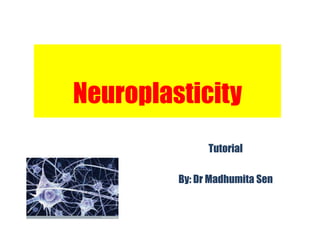 Neuroplasticity
               Tutorial

         By: Dr Madhumita Sen
 