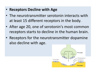 • Receptors Decline with Age
• The neurotransmitter serotonin interacts with
  at least 15 different receptors in the body.
• After age 20, one of serotonin's most common
  receptors starts to decline in the human brain.
• Receptors for the neurotransmitter dopamine
  also decline with age.
 