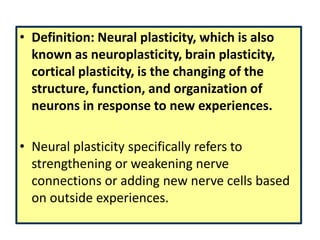 Plasticity Function 15. neuroplasticity | PPTX