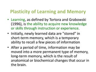 Plasticity of Learning and Memory
• Learning, as defined by Tortora and Grabowski
  (1996), is the ability to acquire new knowledge
  or skills through instruction or experience.
• Initially, newly learned data are "stored" in
  short-term memory, which is a temporary
  ability to recall a few pieces of information
• After a period of time, information may be
  moved into a more permanent type of memory,
  long-term memory, which is the result of
  anatomical or biochemical changes that occur in
  the brain.
 