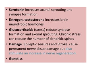 • Serotonin increases axonal sprouting and
  synapse formation.
• Estrogen, testosterone increases brain
  neurotropic hormones.
• Glucocorticoids (stress) reduce synapse
  formation and axonal sprouting. Chronic stress
  can reduce the number of dendritic spines
• Damage: Epileptic seizures and Stroke cause
  permanent nerve tissue damage but also
  stimulate an increase in nerve regeneration.
• Genetics
 